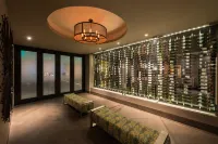 Hyatt Regency Merida - bar
