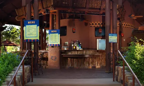 Disney's Animal Kingdom Lodge