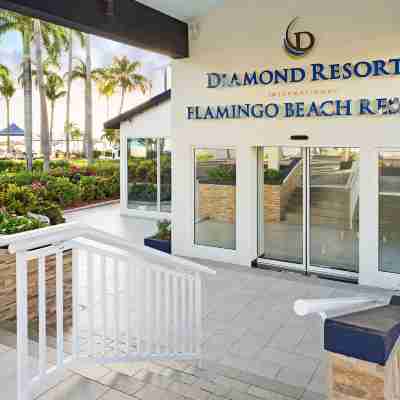 Hilton Vacation Club Flamingo Beach St. Maarten Hotel Exterior