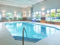 La Quinta Inn & Suites by Wyndham Detroit Utica - piscina