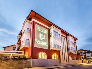 Hotel Nagusi