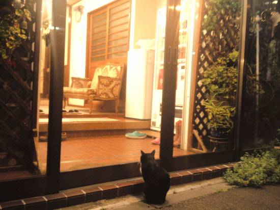 ペンション パピィーテール 函館 宿泊予約 安い料金プラン 口コミ 部屋写真 Trip Com ペンション パピィーテール 函館 宿泊予約 安い料金プラン 口コミ 部屋写真 Trip Com