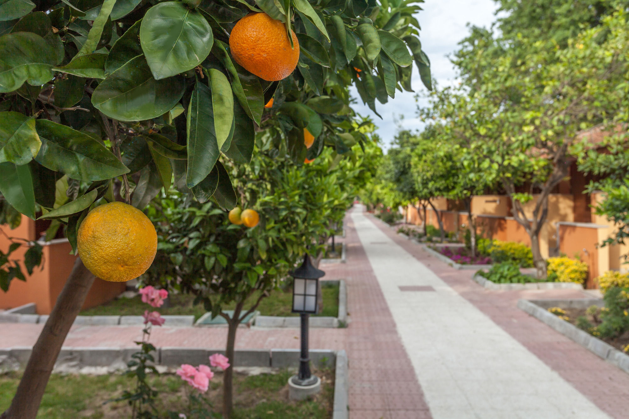 Ozlem Garden Hotel