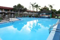 Rodeway Inn Clearwater - Central - piscine