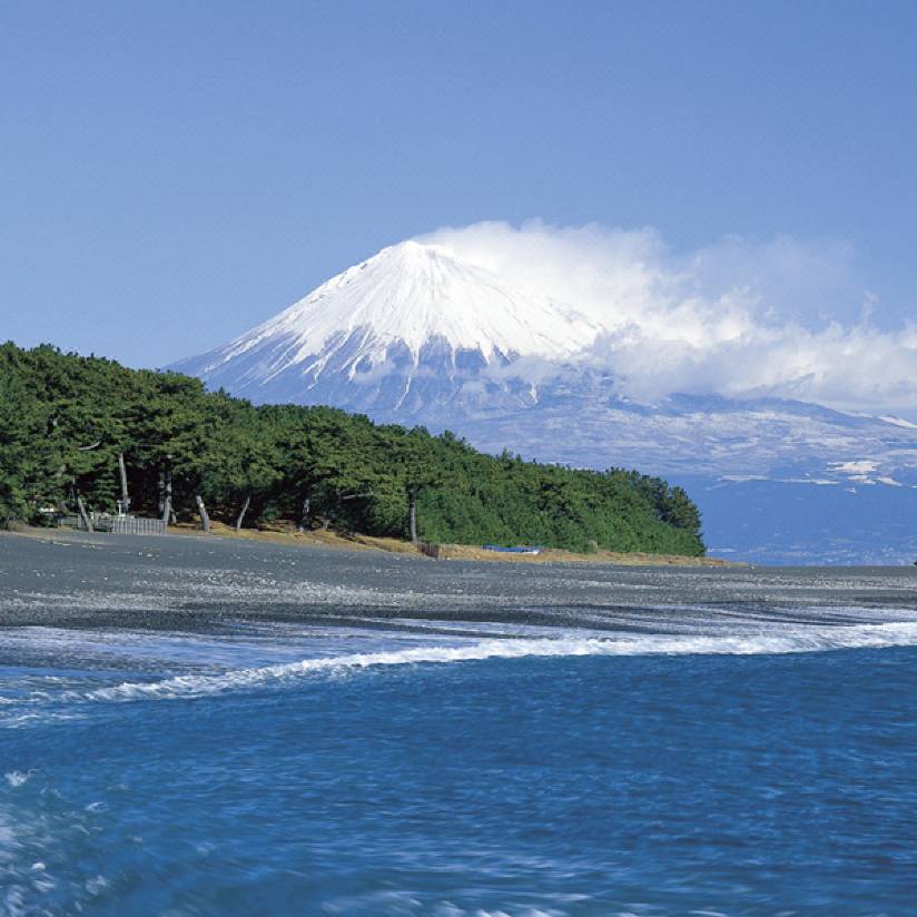 三保シーサイドホテル福田家 静岡 を宿泊予約 22年安い料金プラン 口コミ 部屋写真 Trip Com