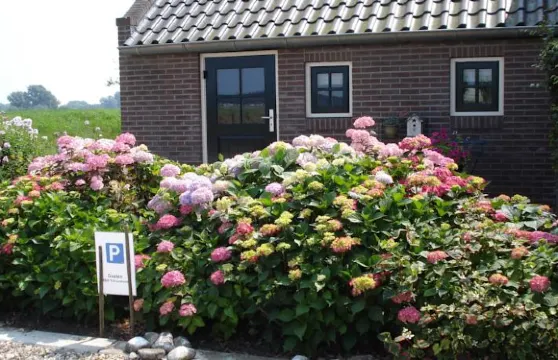 克魯斯胡斯度假屋