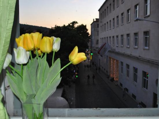 Optimist Split/City Center