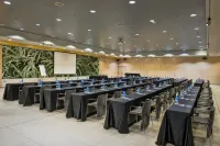 Alexandre Fira Congress - business