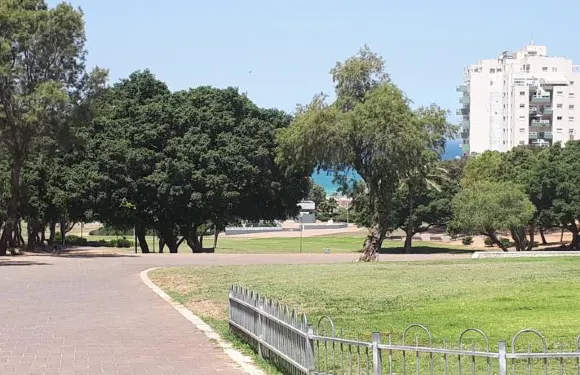 阿什杜德中心公寓