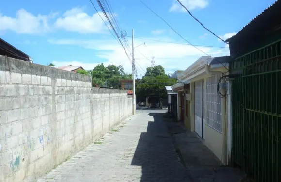 帕萊索熱帶旅館