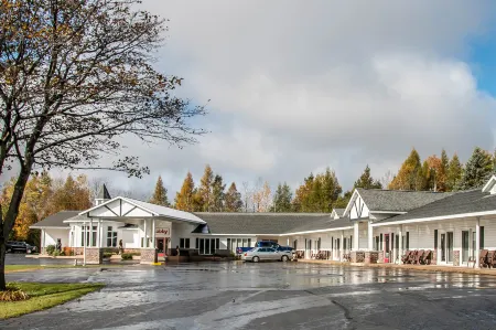Econo Lodge Lakeshore Отели в г. Манистик