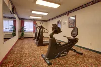 Americas Best Value Inn and Suites Saint Charles - Træningscentre