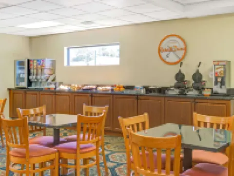 Hotel South Tampa & Suites Hotels in Tampa