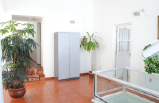 Hotel Romi - Wifi