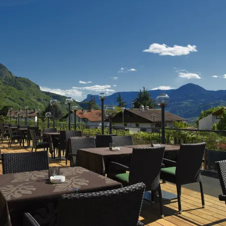 Hotel Ladurner