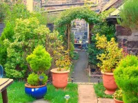 Arbour Guest House Hotels in 