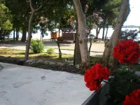 Hotel Dalmatino Hotels in 