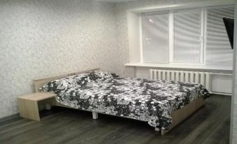 Apartment Pleskov