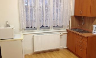 a kitchen with a white radiator , wooden cabinets , and a sink under a window with white curtains at Bike Apartment