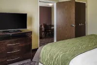 Comfort Inn & Suites Dothan East Hotels in Dothan