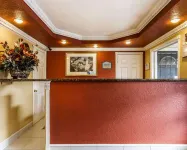 Sycamore Inn Chico University Area