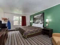 Syracuse Inn Hotels in De Witt