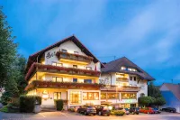 Hotel Krone Igelsberg Hôtels à : Freudenstadt