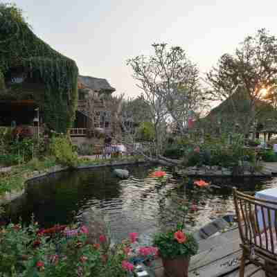 Phu Chaisai Mountain Resort Hotel Exterior