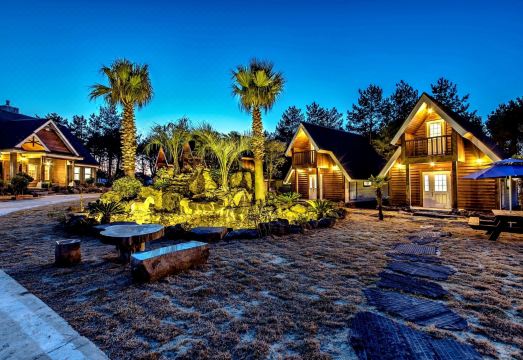 브라운캐빈 숲속 풍경