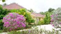 Wangpla Villa Resort Hotels in 