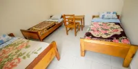 Virunga Campsite and Backpackers - Standard Quadruple Room