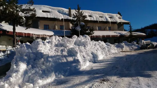 Delberg Palace Hotel