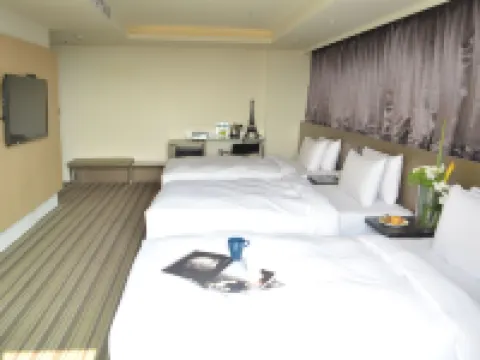 嘉義德爾芙快捷酒店 嘉義市酒店