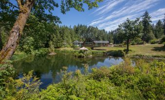 A Hidden Haven Cottages