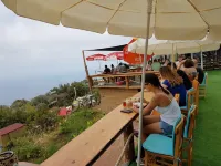 Shiva Camp