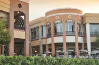 Anew Hotel Centurion Pretoria Hotels near Whispering Tree Tops