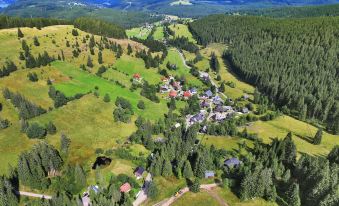 Schwarzwald-Hotel Kraeutle