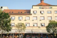 Hotel Zepter Palace Hotels in Trn
