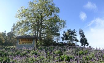 Reindeer Taichung Herb House