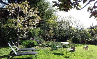 a lush green garden with a variety of plants and trees , including a cherry blossom tree in the background at Ombre Rose