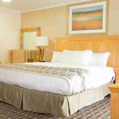 Mount Royal Inn Rooms