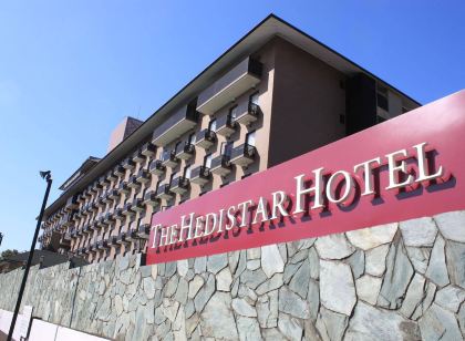 The Hedistar Hotel Narita