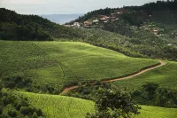 One&Only Nyungwe House Hotels in 