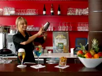 Hotel Esplanade Dortmund - Barer