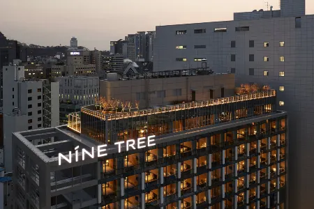 NINE TREE BY PARNAS SEOUL MYEONGDONG 2