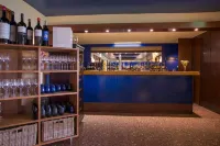 阿瑪德拉巴公園酒店 - 酒吧