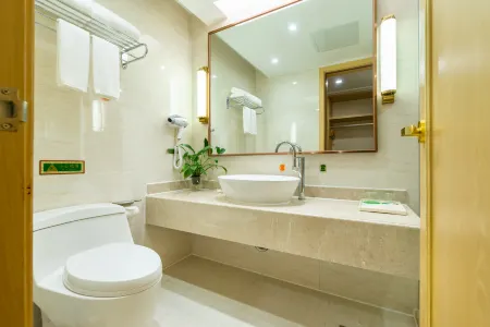 Vienna International Hotel (Changsha Juzizhoutou)