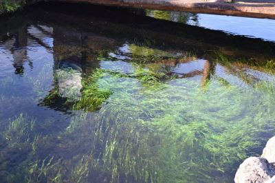 ホテル周辺 滞在型温泉コンドミニアム石和セントラルの写真