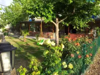Zeytin Otel Altinoluk - Yolcu Alma/Bırakma Hizmetleri