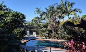 a tropical landscape with a swimming pool surrounded by lush greenery and palm trees , creating a serene atmosphere at Alstonville Country Cottages